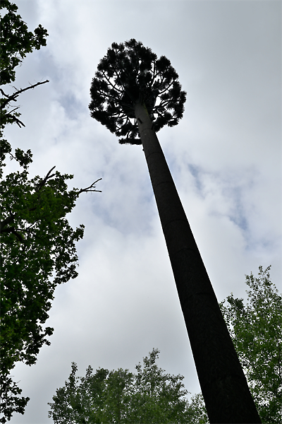 2605k029_GPX_foretDesAlluets