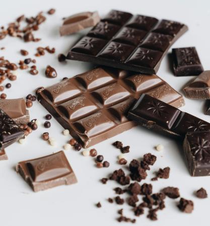VISITE DE LA CHOCOLATERIE DE PATRICK ROGER